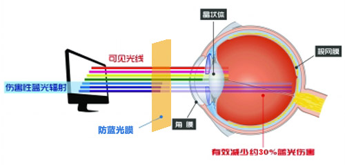 香蕉一级视频最新科技成果 大香蕉久久视频成護眼利器